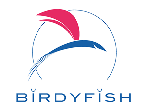 BirdyFish - Constructeur de bateau à foil