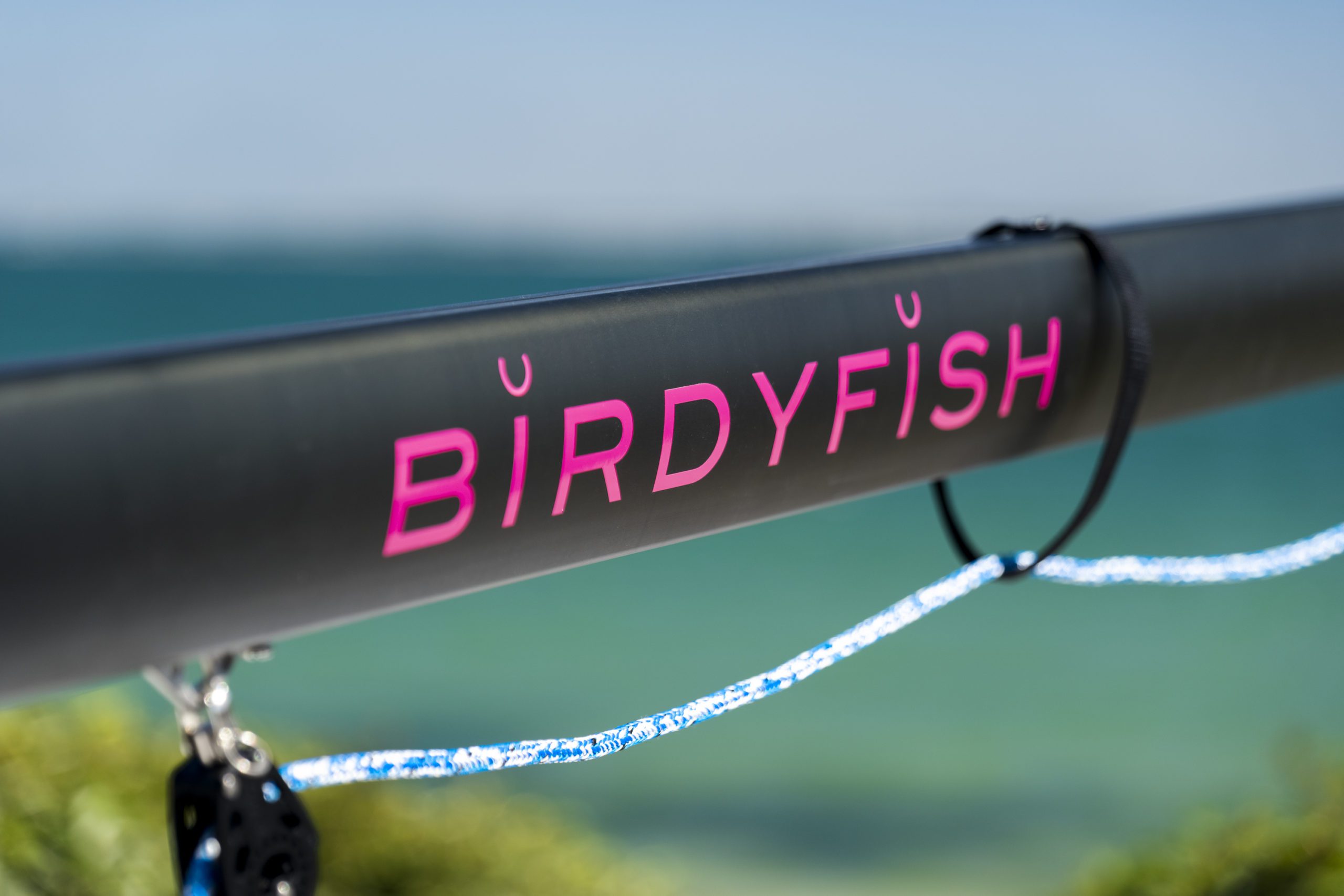BirdyFish - Dériveurs à Foils - Made in France