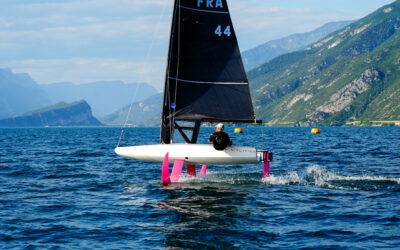 Where can you try Birdyfish in 2026 ?