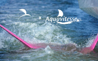 pays-bas : nouveau revendeur birdyfish